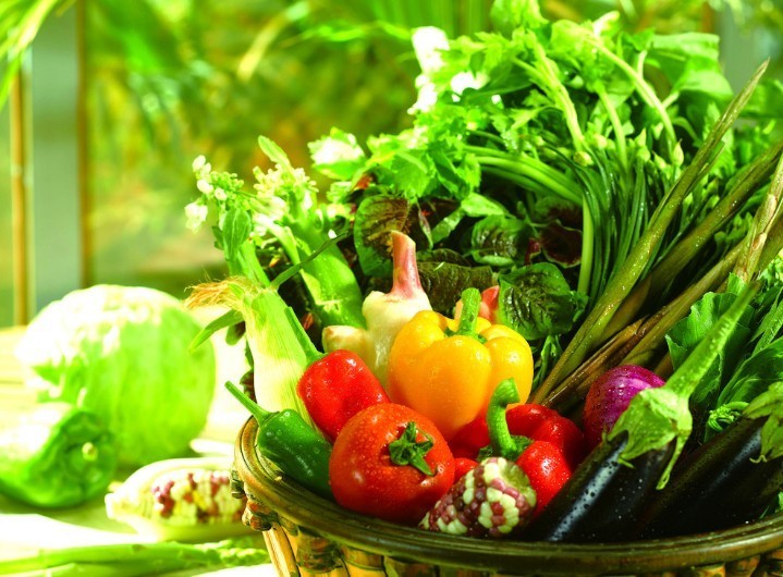 ��ʳ������ǿ����