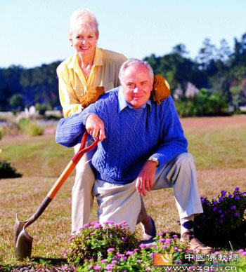 ���˸�Ѫѹʳ�Ʒ�