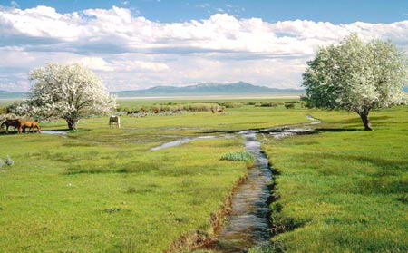 ��Ţ��С· ��������˵�����.jpg