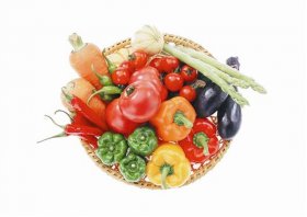  ��ʳ��һ������̬�� 