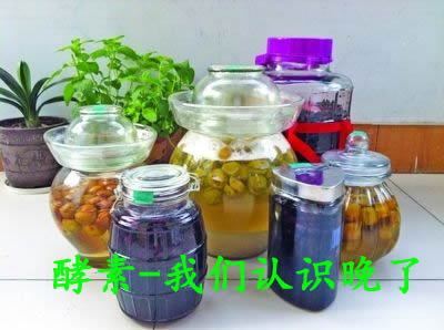 认识酵素健康作用