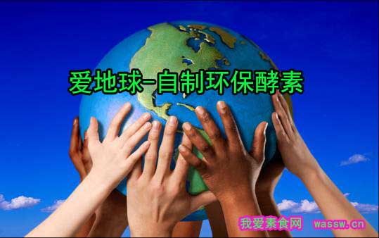爱地球-自制环保酵素