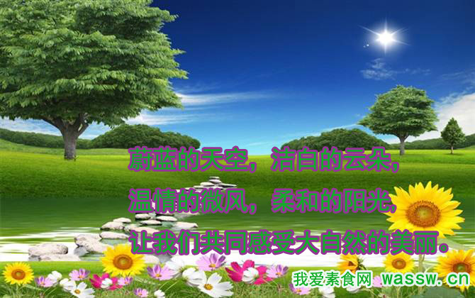 周一请吃素 吃素相当于种树