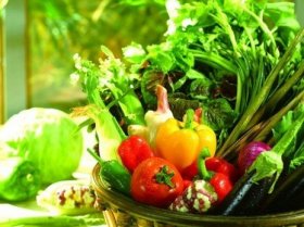  ʲô����ʳ������˵����� 