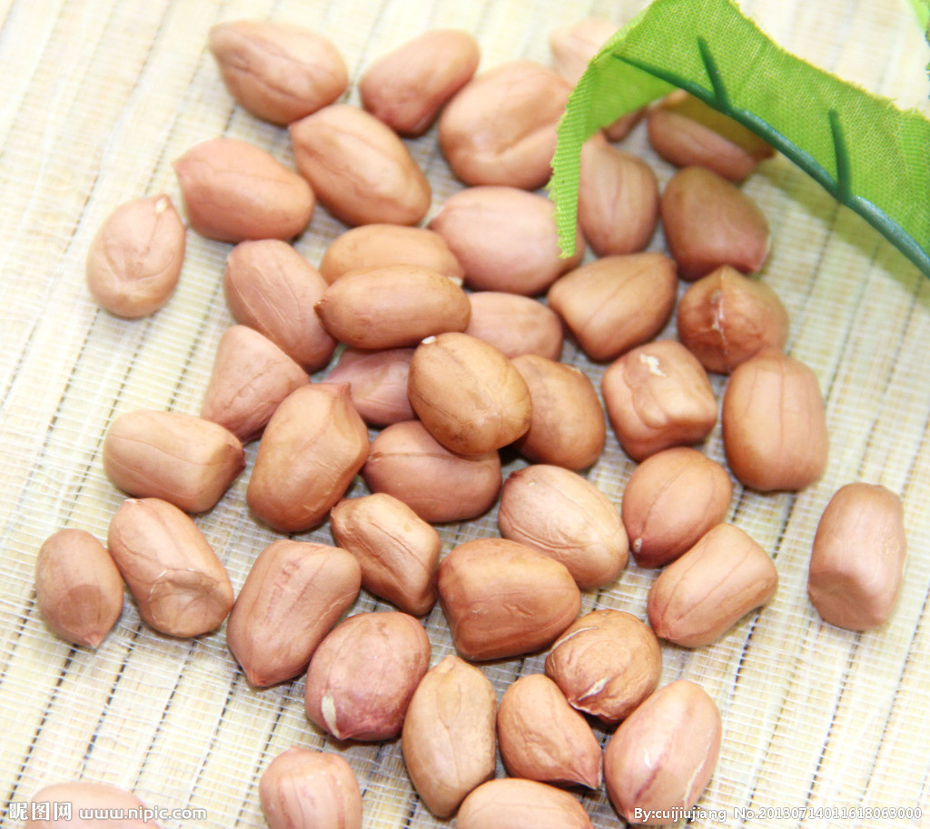 心脑部营养食物花生