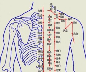  对付肩周炎最关键的几个穴位(图文) 