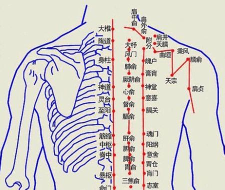 肩周炎穴位