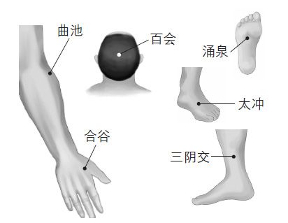 穴位治病百会