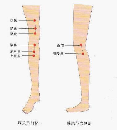 梁丘穴