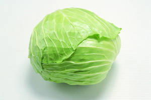 卷心菜