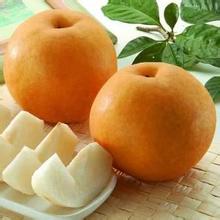 秋季保湿水果苹果