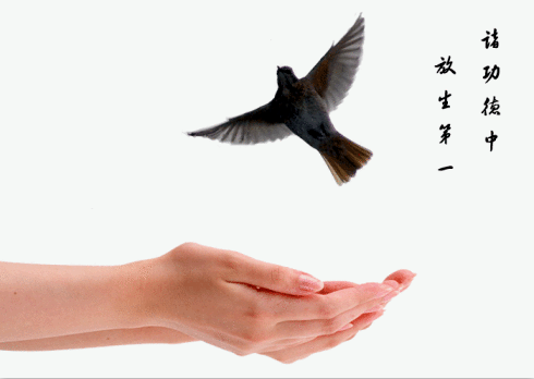 放生功德