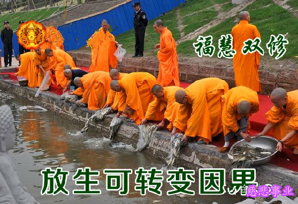 放生改变运气的真正原理