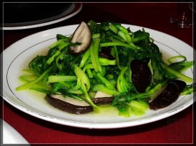  Ӫ�����䣺������ʳ��ʮ�ֿھ�