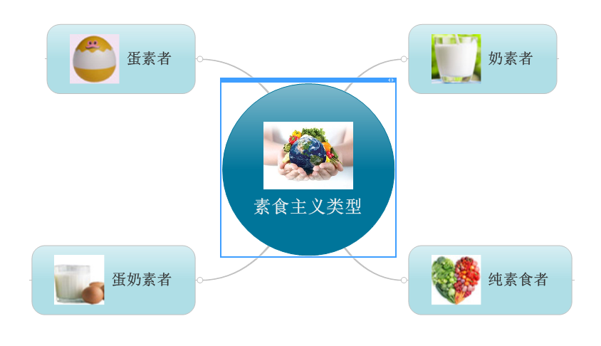素食主义者类型