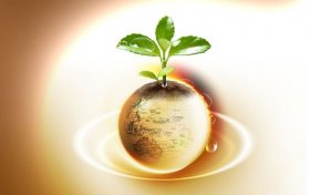 ��ʳ���ϻ�����ֹս��