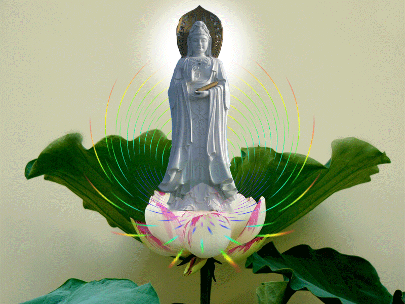 戒邪淫戒杀放生吃素
