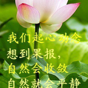 放生因果吃素放生学佛