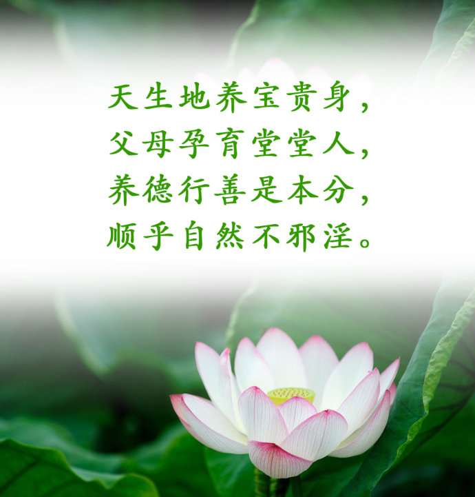 学佛戒邪淫功德