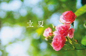 立夏素食养生