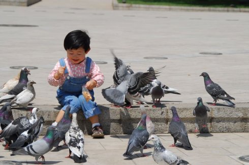 她在丛中笑