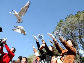 ѧ�������Ӧ