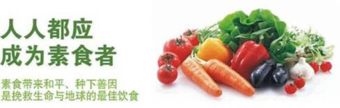 素食好处肉食坏处