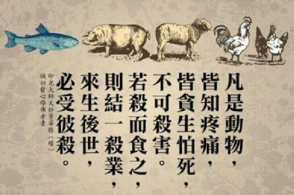 佛教素食肉食过失