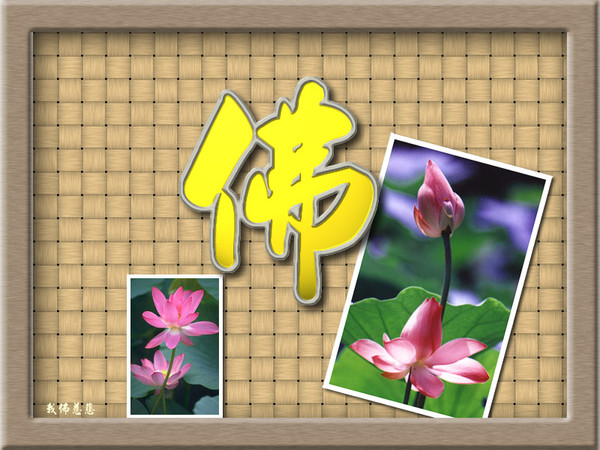 学佛吃素