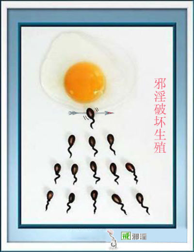 ɫ鷺Ķִ˵Ķ˺ͼ