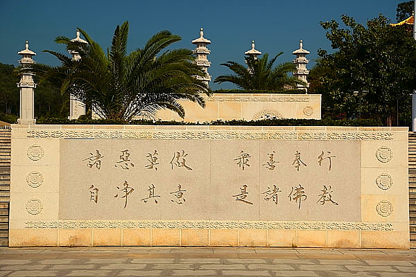 学佛不是吃素放生那么简单化