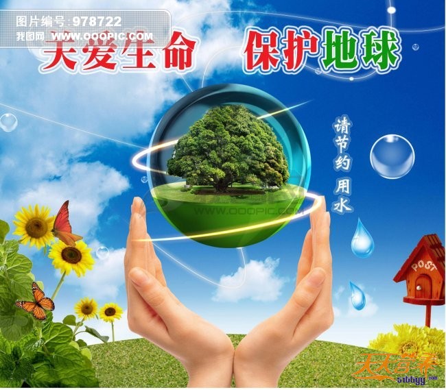素食尊重生命