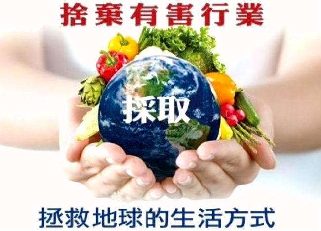 素食新生态之恢复地球
