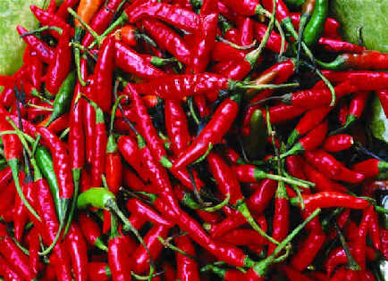  夏天多吃红辣椒可预防中暑 吃越“冰” 