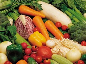 ��������Щ��ʳ������������