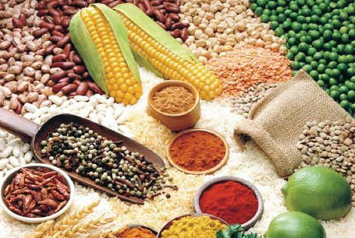 �������������� ���������ʳ����