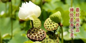 ����ʳ������ѧ���˳��ص����⣿