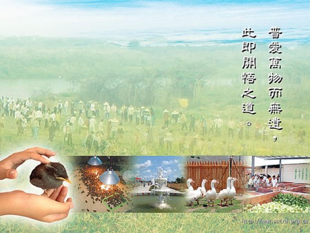 为何白天吃素,夜梦却在吃肉?