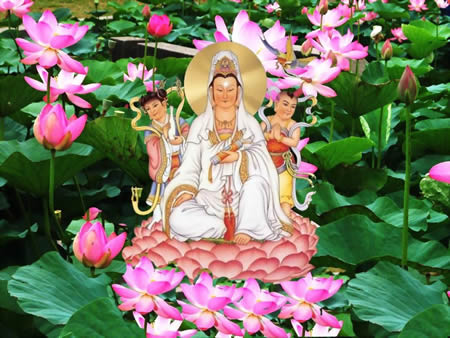 护生即护心 慈悲可养生