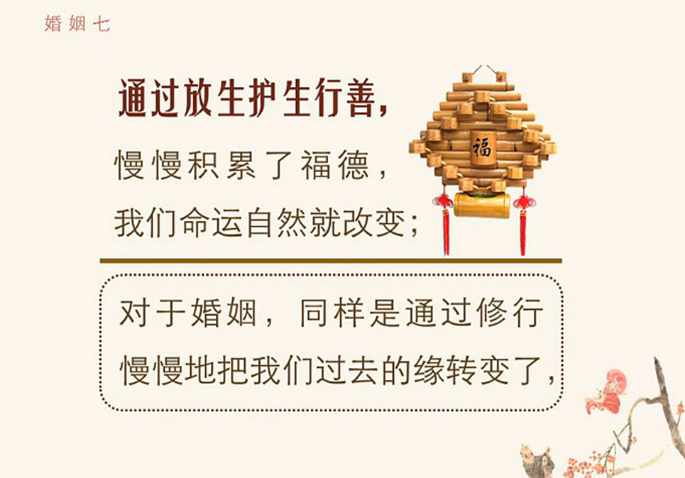 放生感悟(放生能启发无量的智慧)
