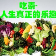 【素食之我见】伟大的时代:蔬食进入主流