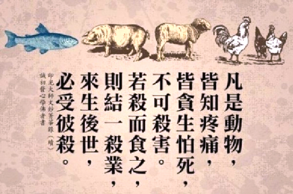【素食养生】佛世僧人托钵为长养色身