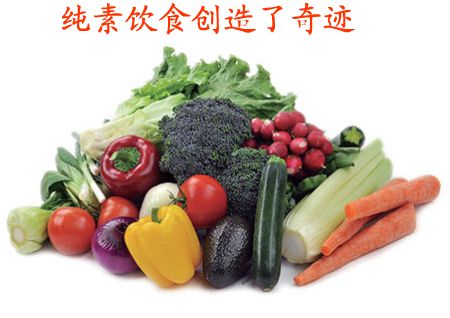 我为什么素食