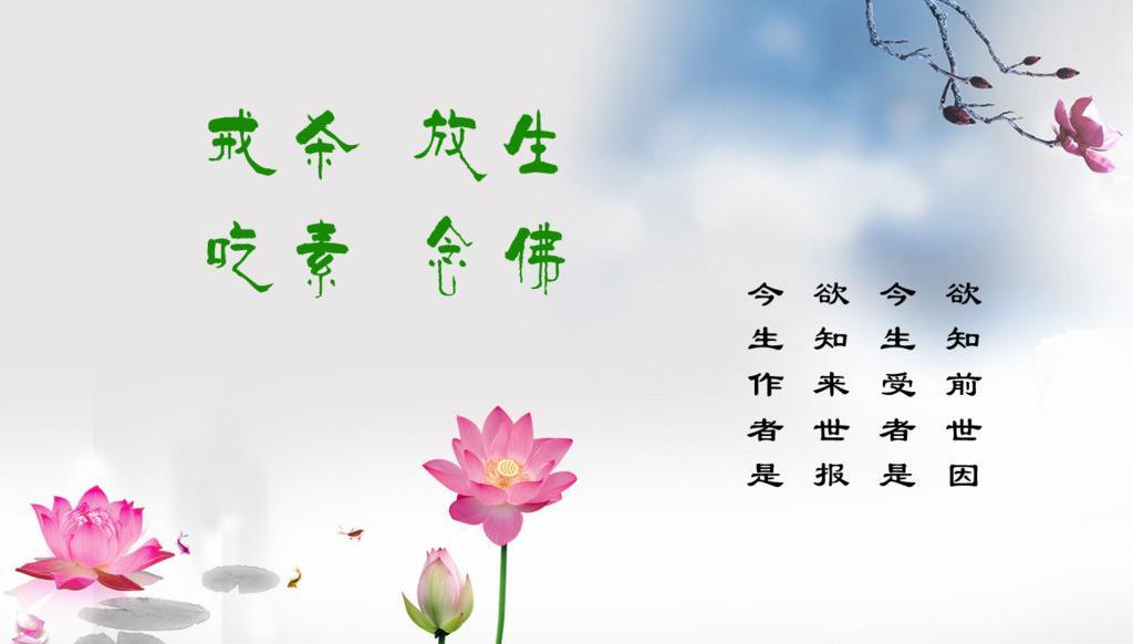 回头是岸——老队长忏悔放生愈病