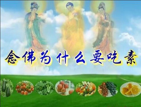 每日“法语”:戒杀食素,消灾免劫