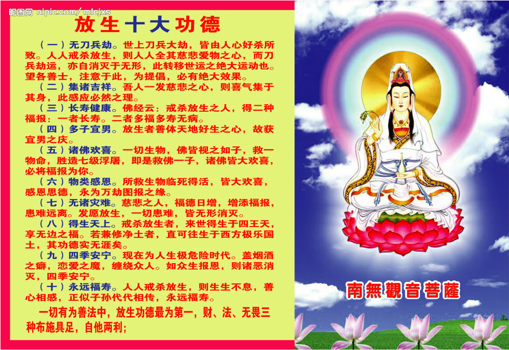  С��������������Ʊ�