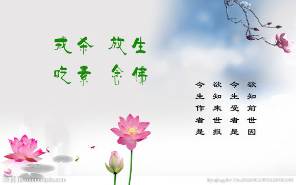 吃素一定要和念佛同步才能增长灵性