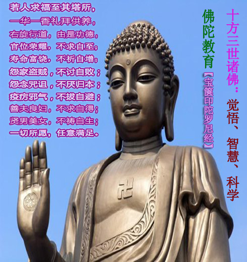 四年不间断放生,收获许多,改变许多