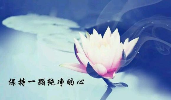 吃素戒杀:吃素的反应(常见问答)
