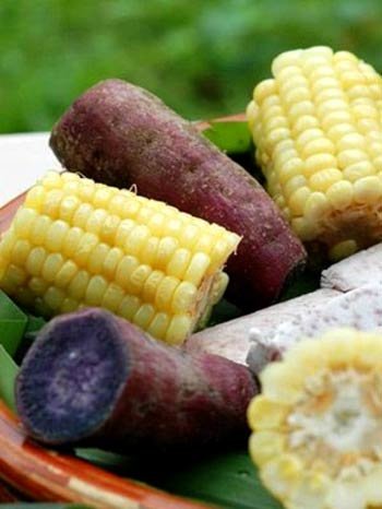 素食的营养与力量
